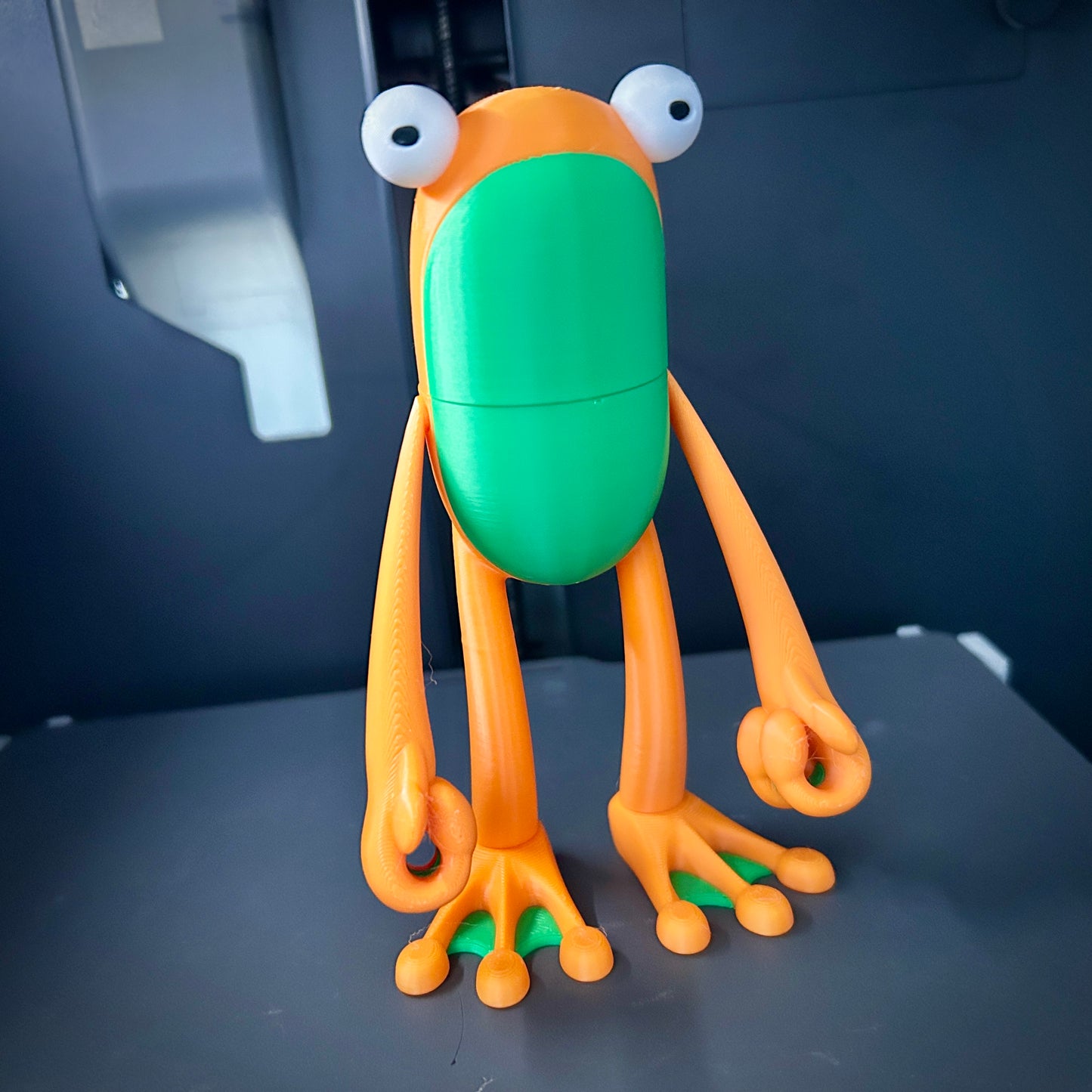 Custom Fly Frog