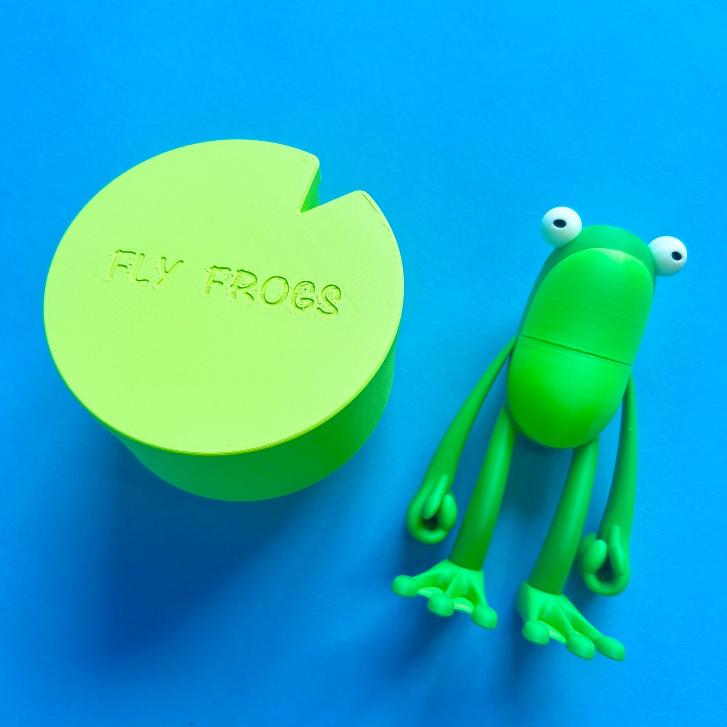 Santa Frog
